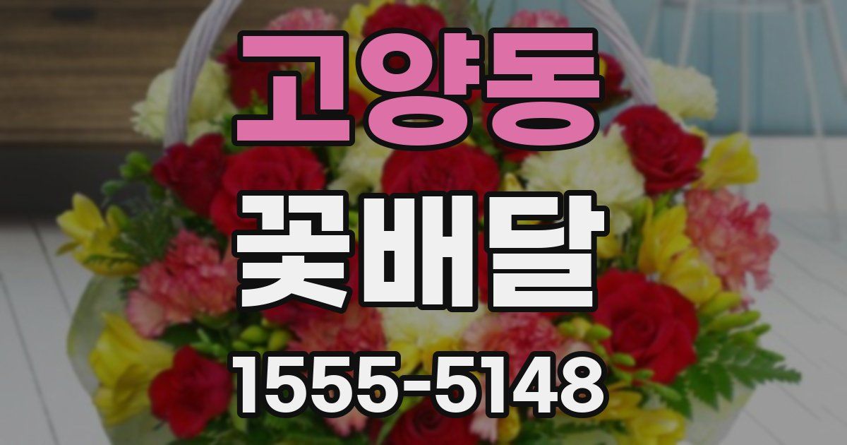고양동 꽃배달