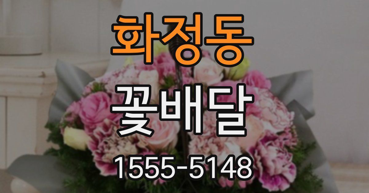 화정동 꽃배달