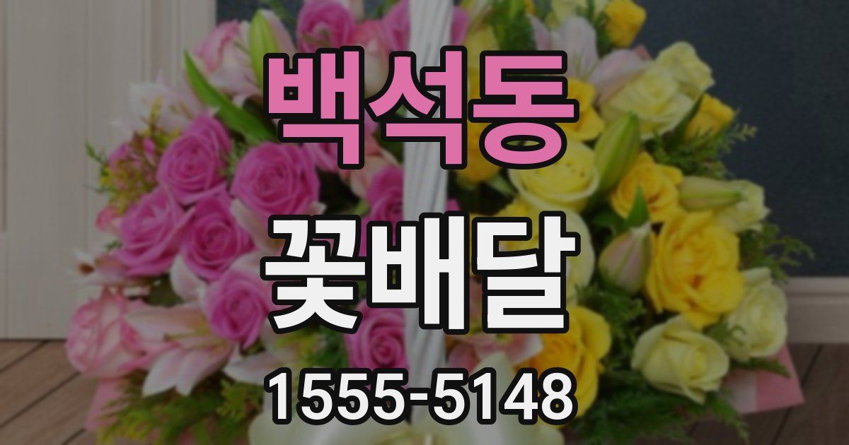백석동 꽃배달