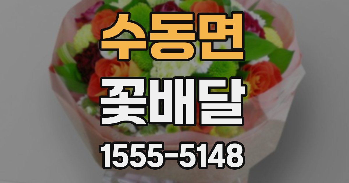 수동면 꽃배달
