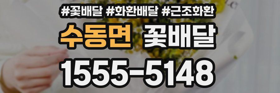 수동면 꽃배달