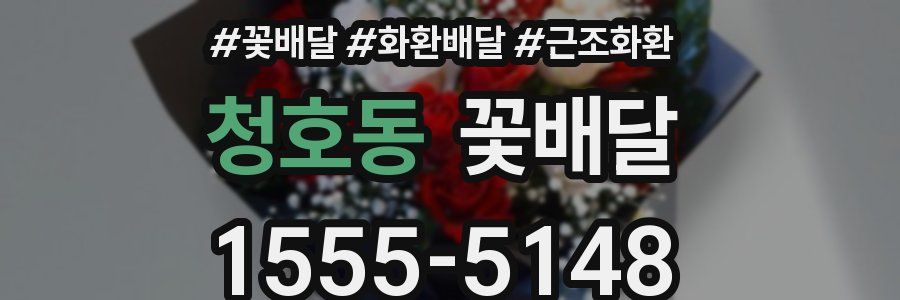 청호동 꽃배달