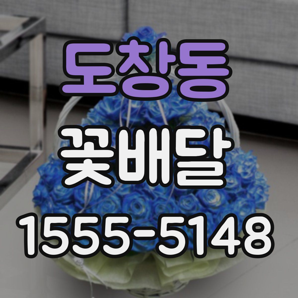 도창동 꽃배달