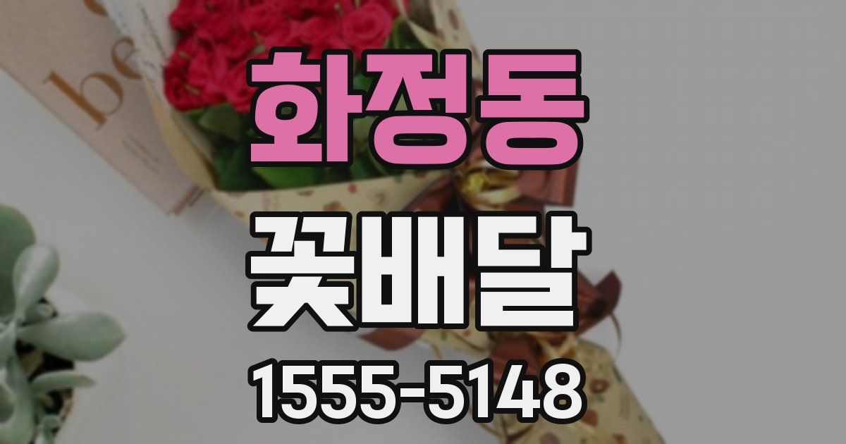 화정동 꽃배달