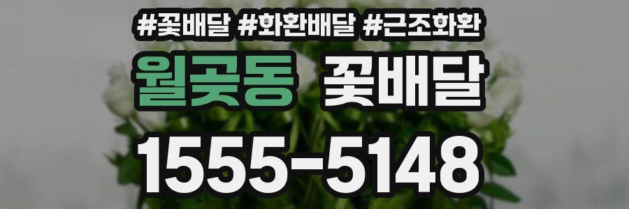 월곶동 꽃배달