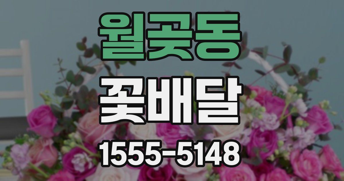 월곶동 꽃배달