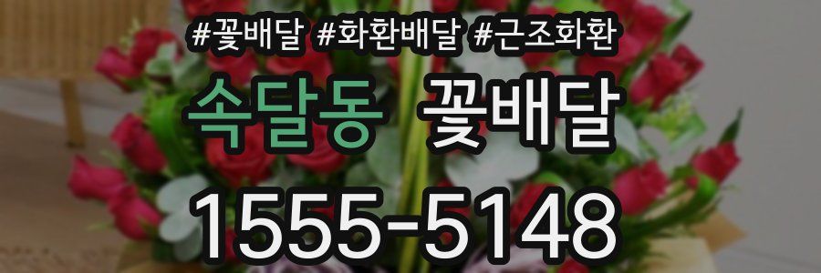 속달동 꽃배달