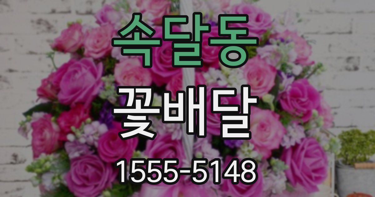 속달동 꽃배달