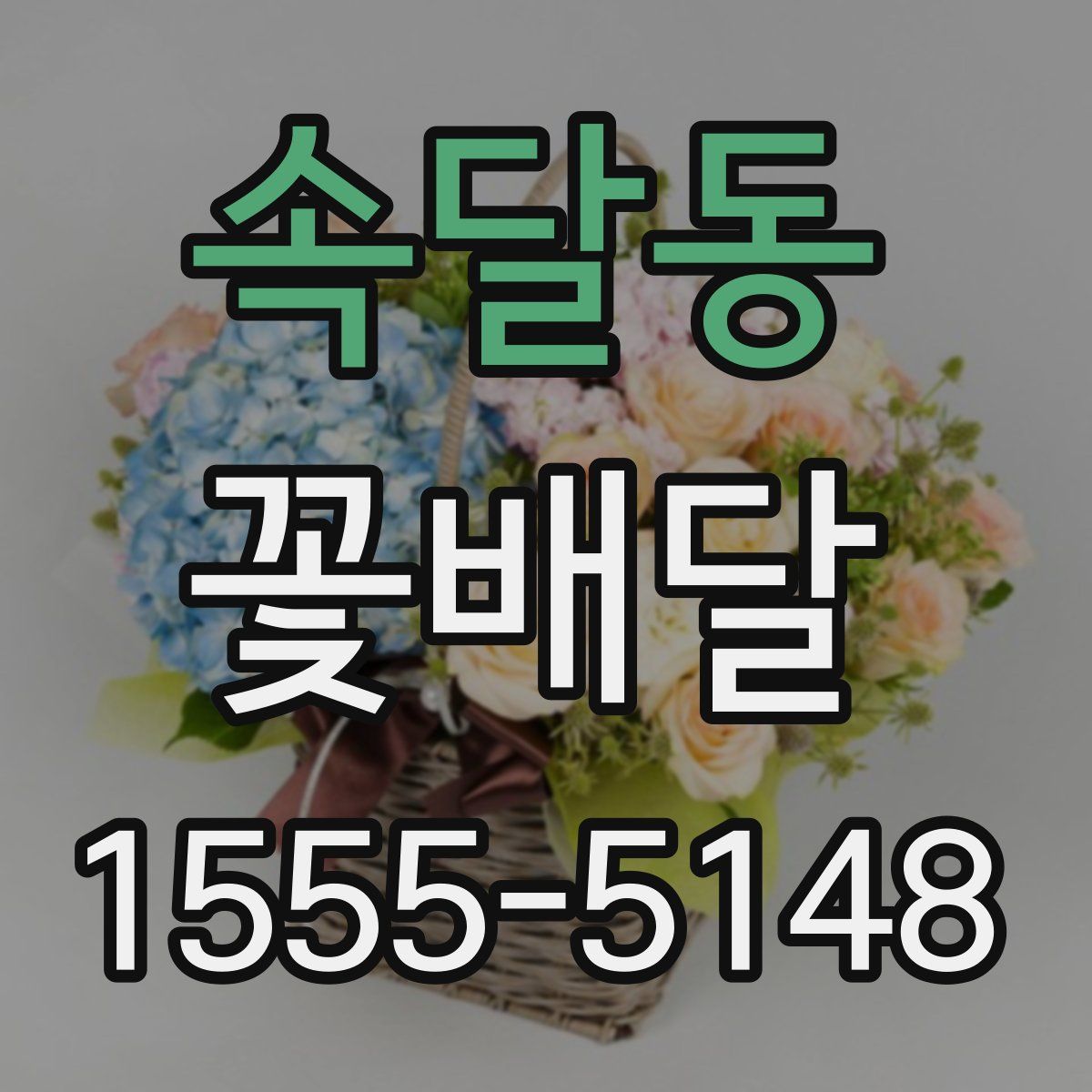 속달동 꽃배달