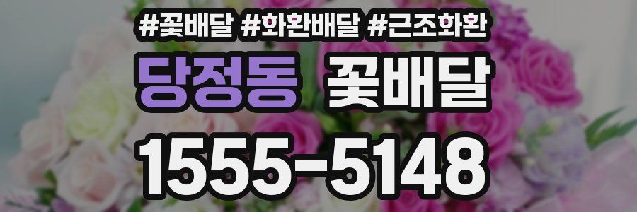 당정동 꽃배달