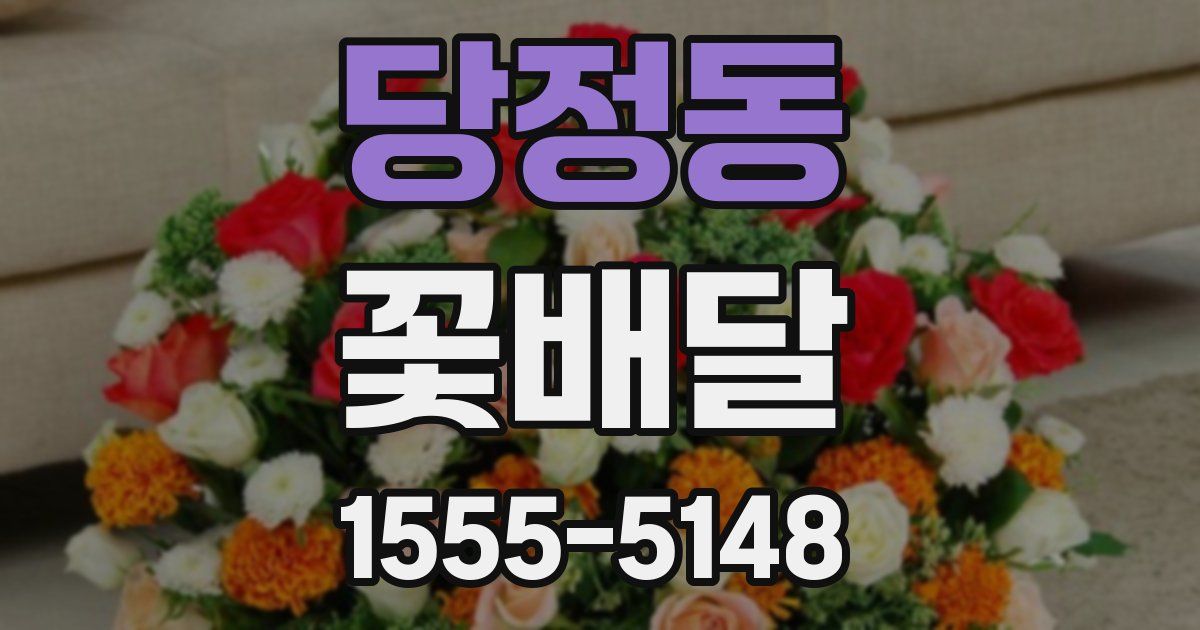 당정동 꽃배달