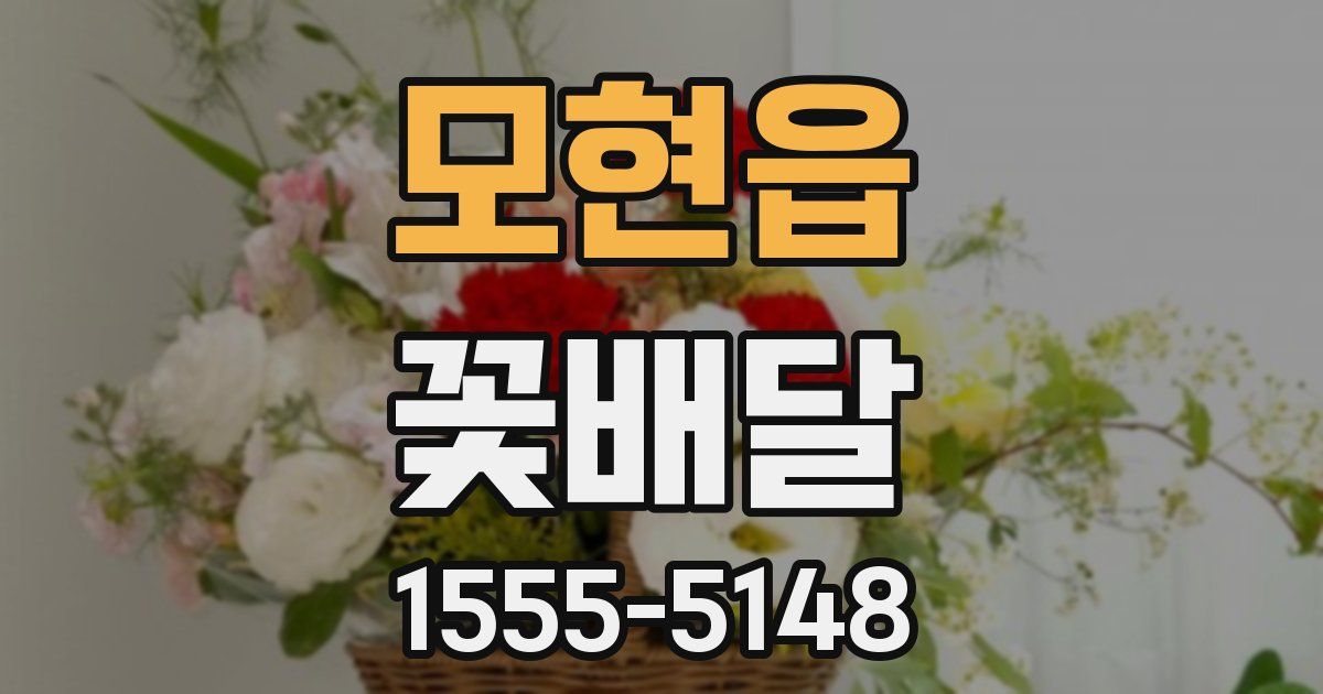 모현읍 꽃배달