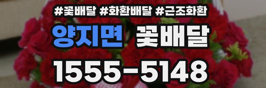 양지면 꽃배달