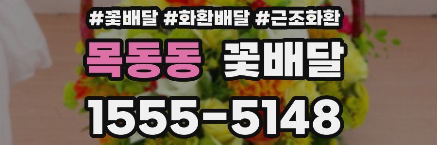 목동동 꽃배달