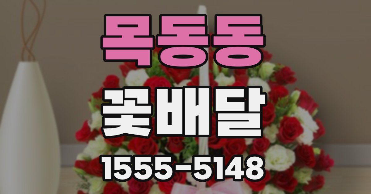 목동동 꽃배달