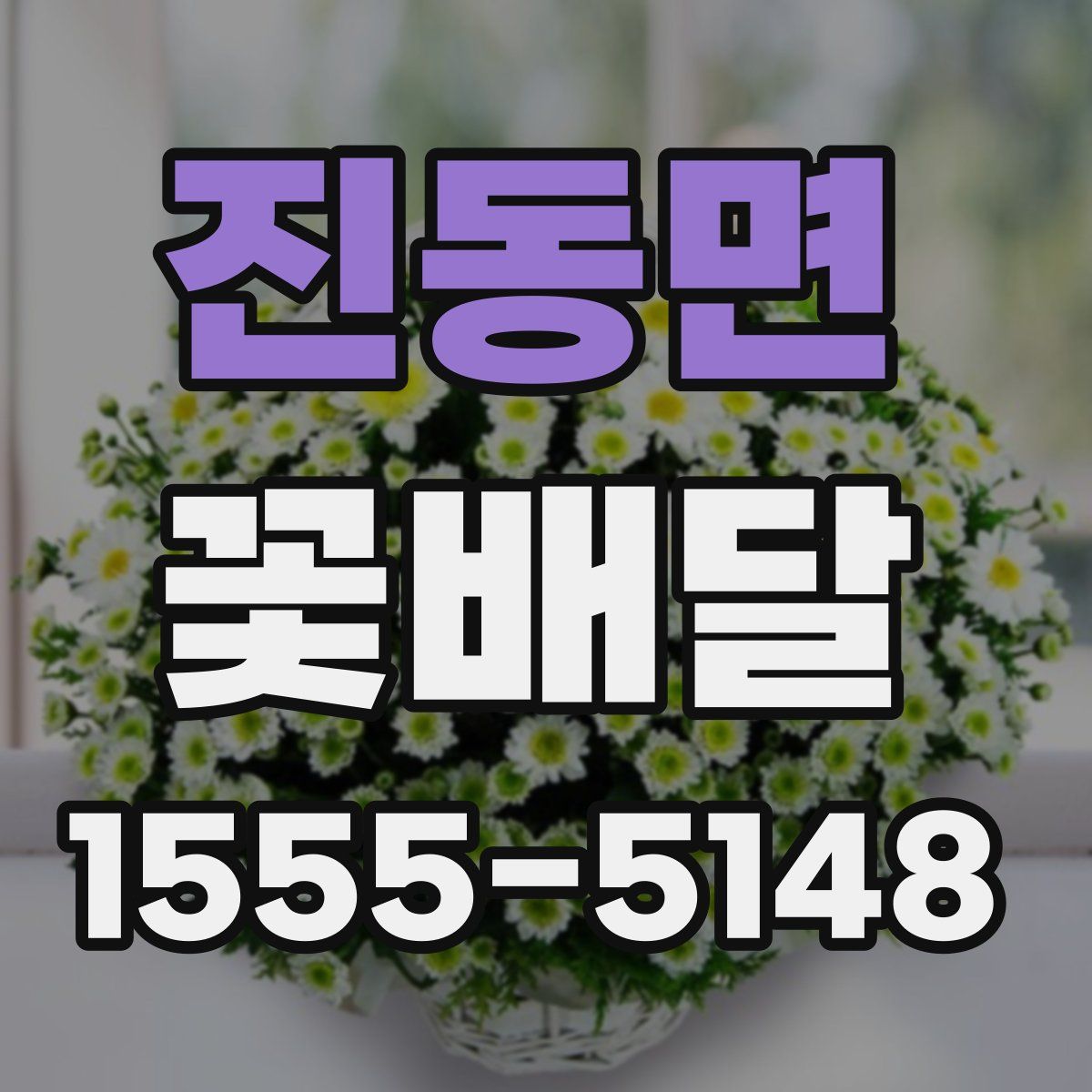 진동면 꽃배달