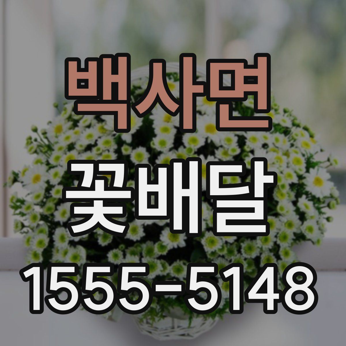 백사면 꽃배달