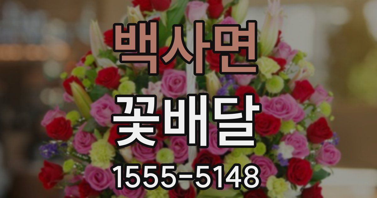 백사면 꽃배달