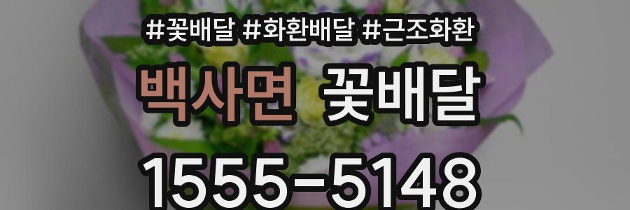 백사면 꽃배달