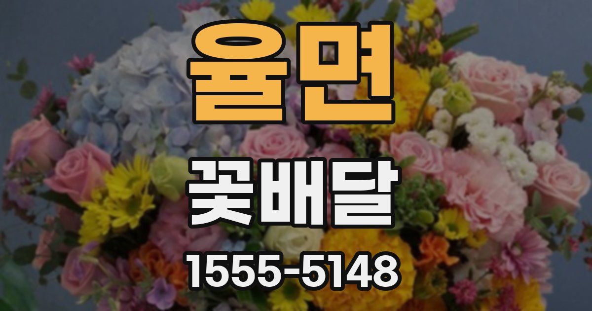 율면 꽃배달