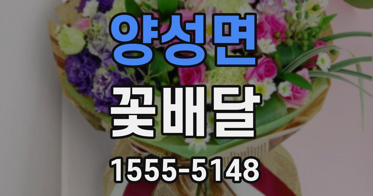양성면 꽃배달