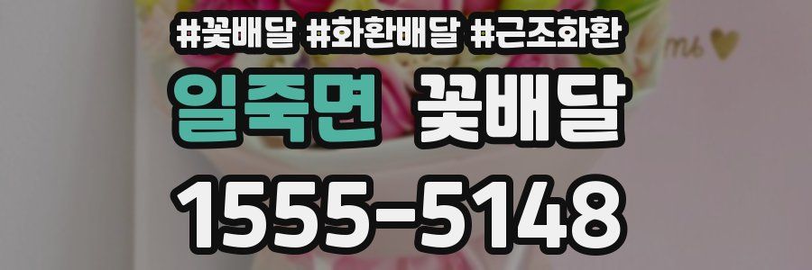 일죽면 꽃배달