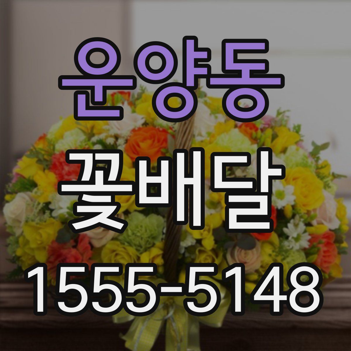 운양동 꽃배달