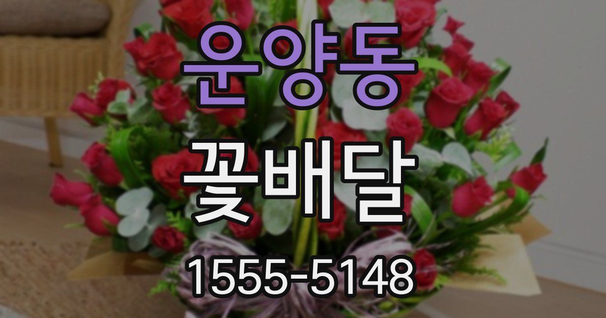 운양동 꽃배달