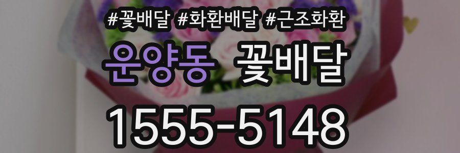 운양동 꽃배달