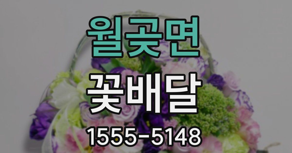 월곶면 꽃배달