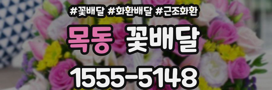 목동 꽃배달