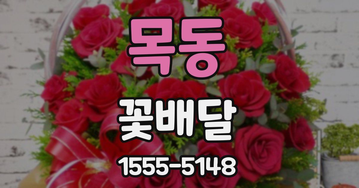목동 꽃배달