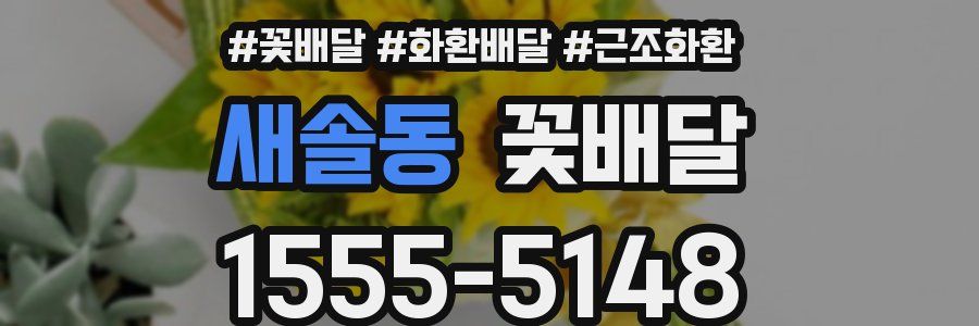 새솔동 꽃배달
