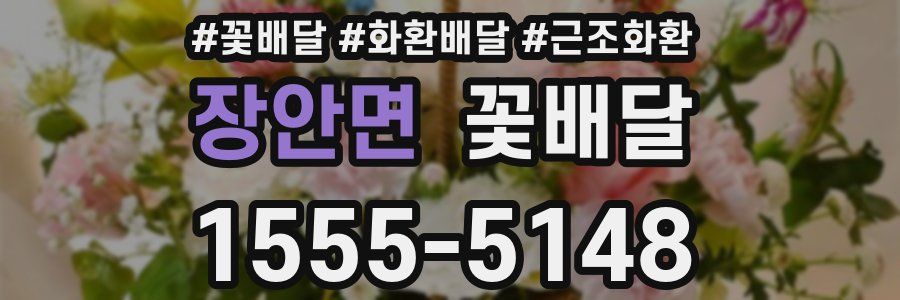 장안면 꽃배달