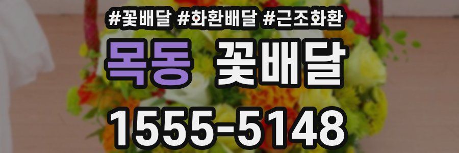 목동 꽃배달