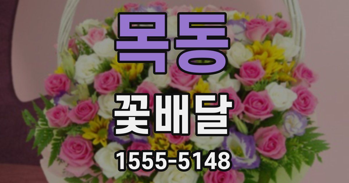 목동 꽃배달
