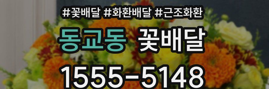 동교동 꽃배달
