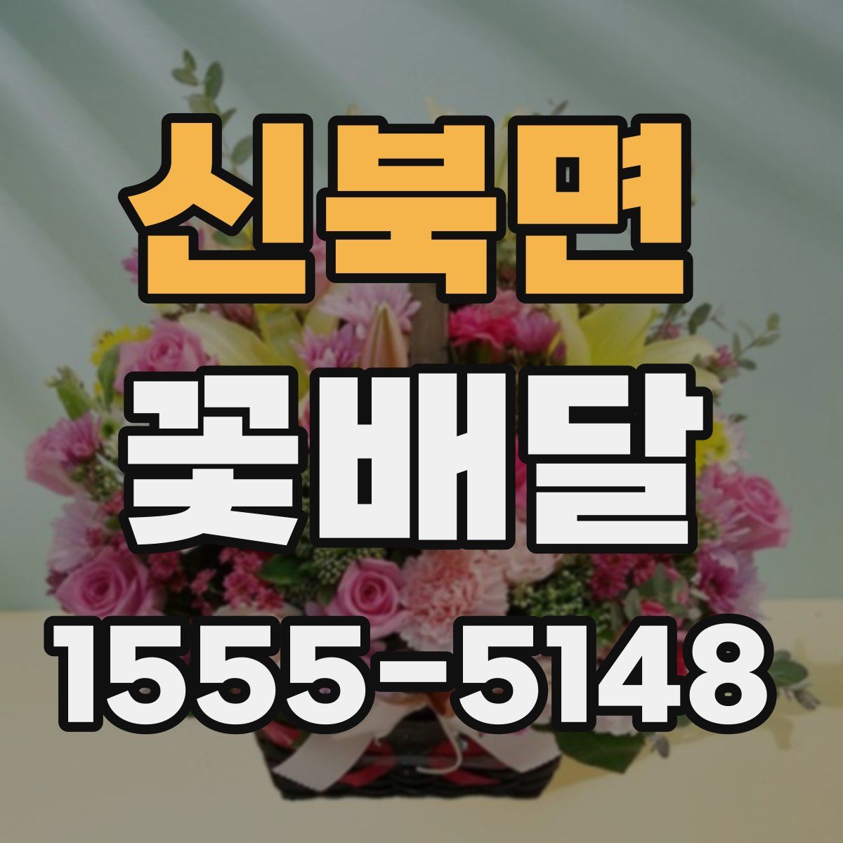 신북면 꽃배달