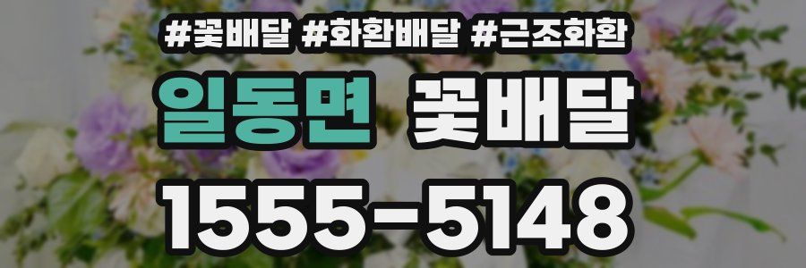 일동면 꽃배달