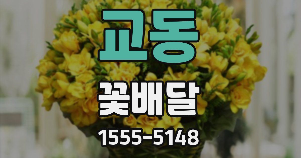 교동 꽃배달