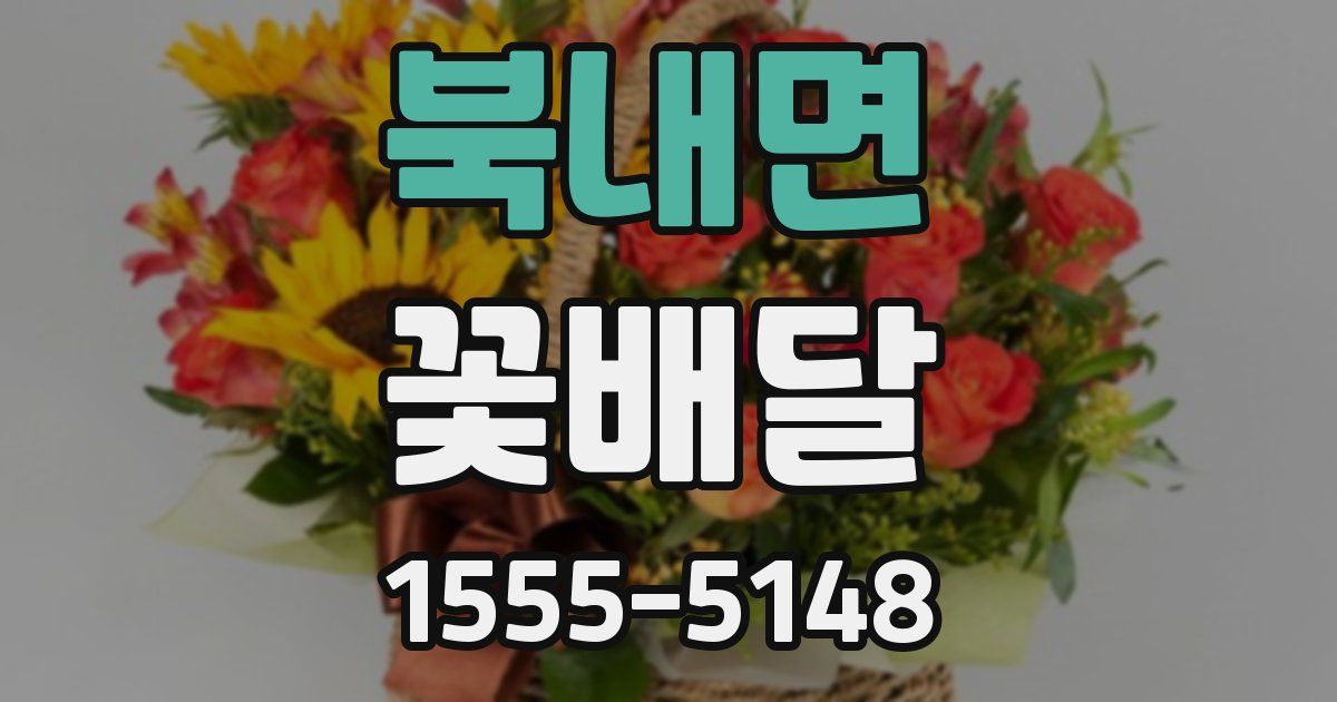북내면 꽃배달
