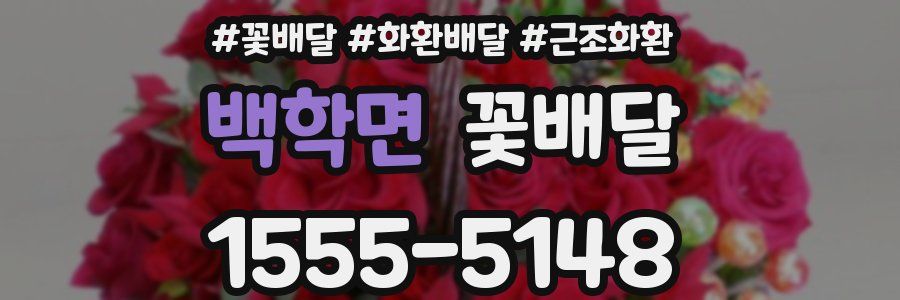 백학면 꽃배달