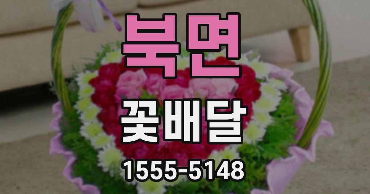 북면 꽃배달