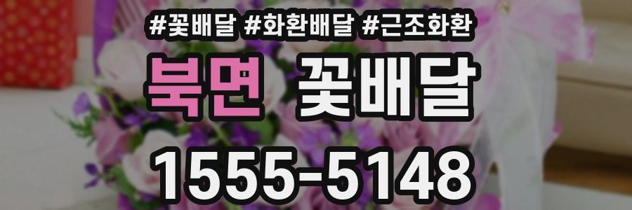 북면 꽃배달