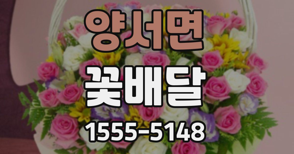 양서면 꽃배달