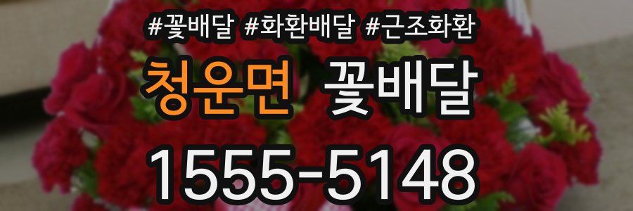 청운면 꽃배달