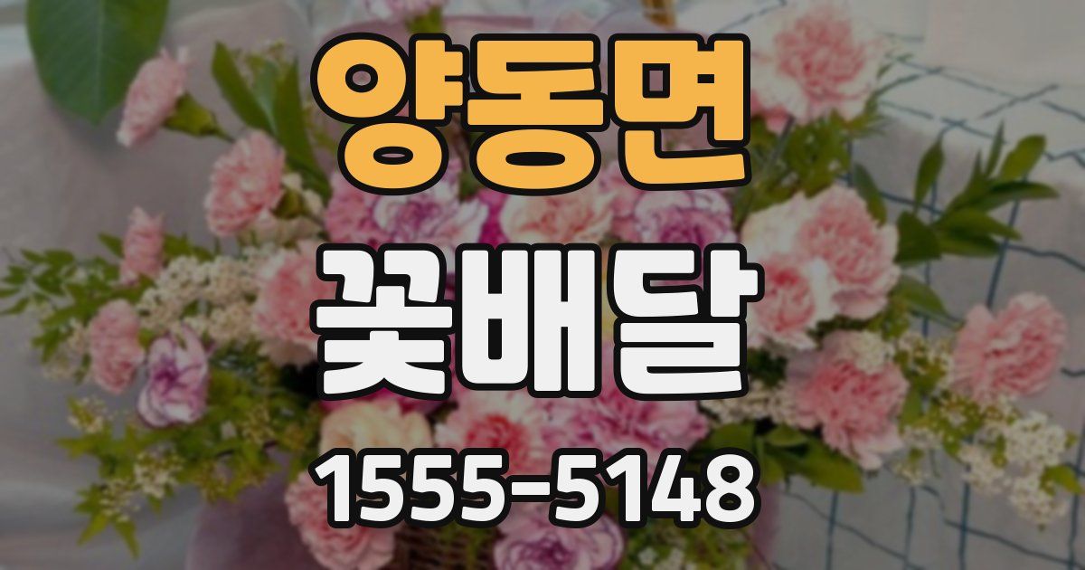 양동면 꽃배달