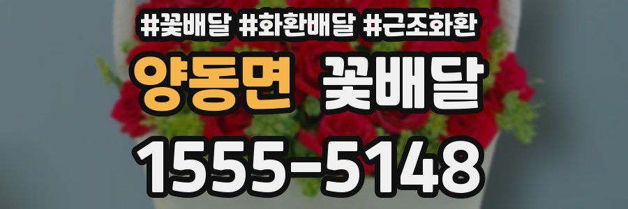 양동면 꽃배달