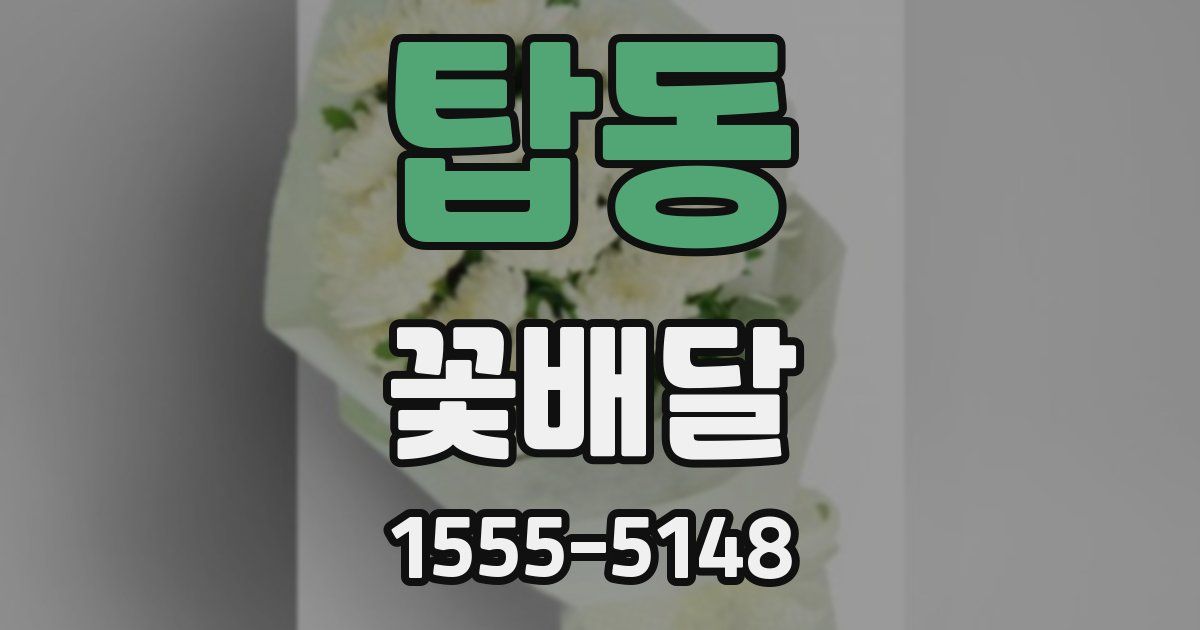 탑동 꽃배달