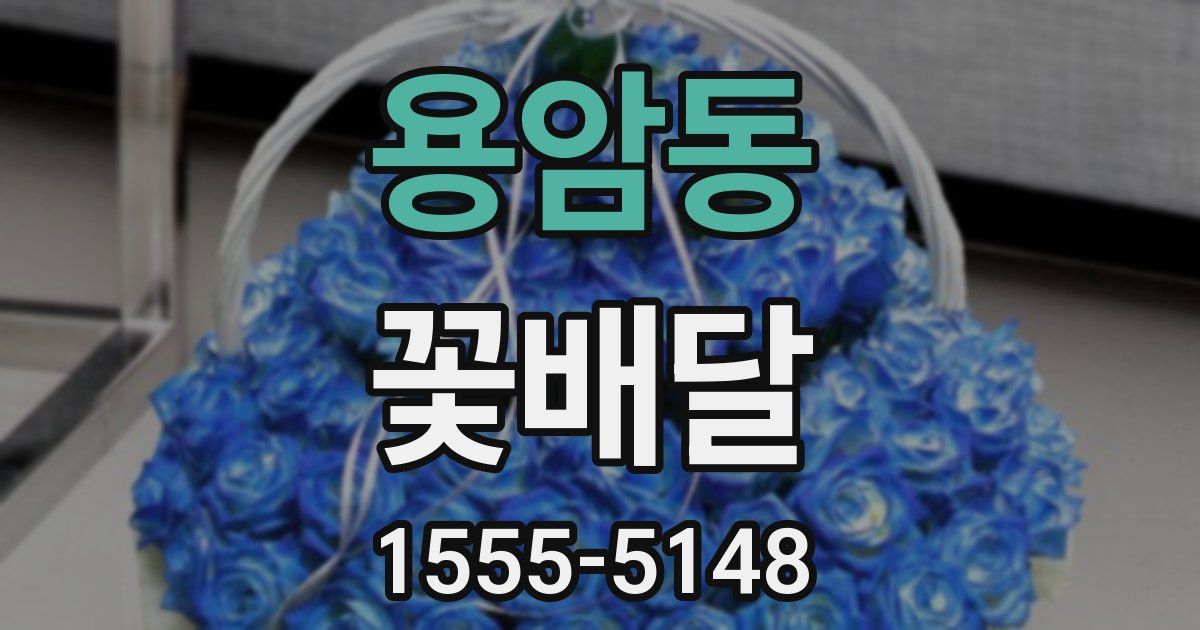 용암동 꽃배달
